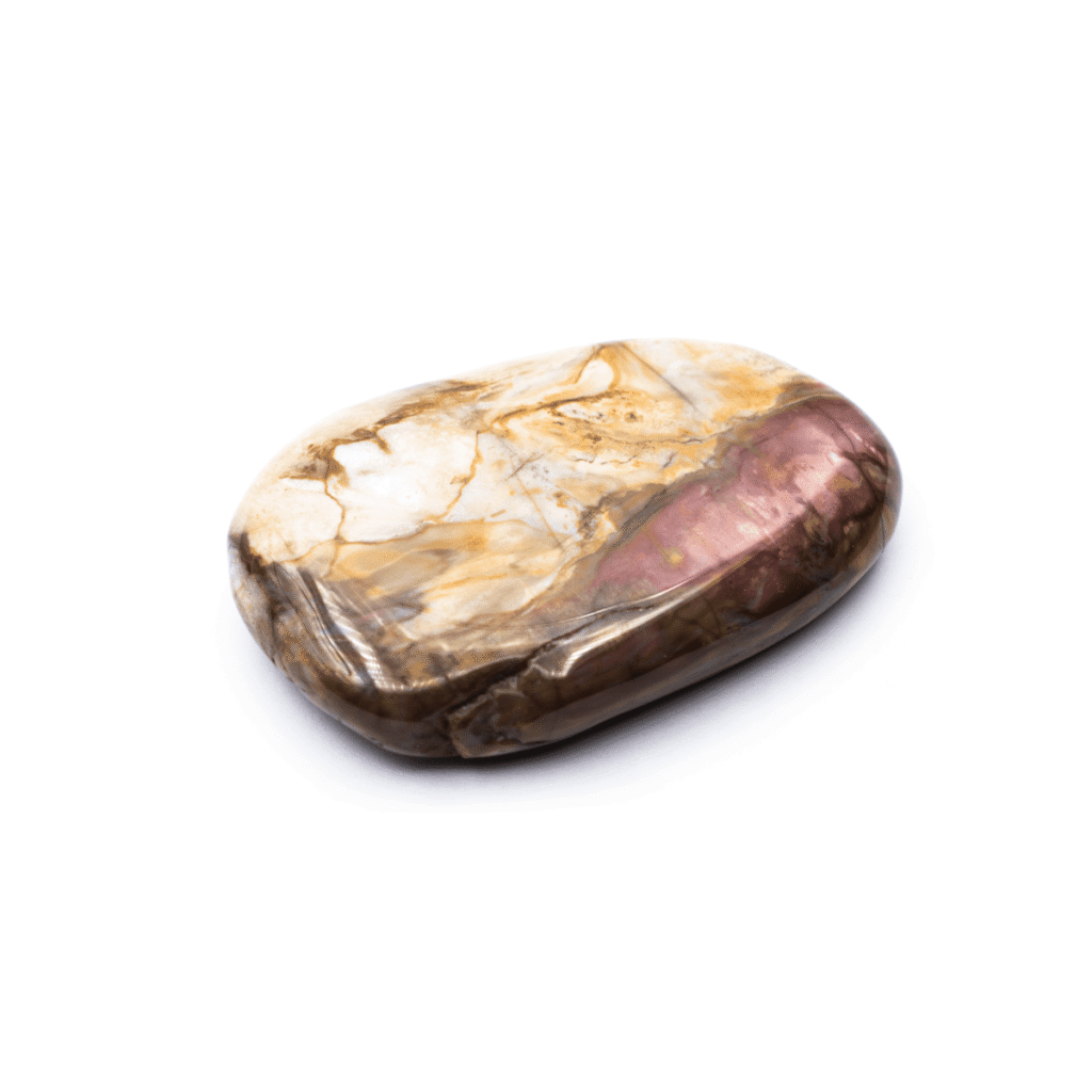 Zkamenělé dřevo - tromlovaná placička