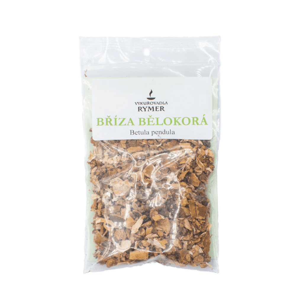 Bříza bělokorá - vykuřovadlo