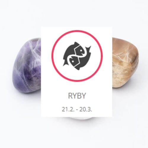 Ryby - sada tromlovaných kamenů