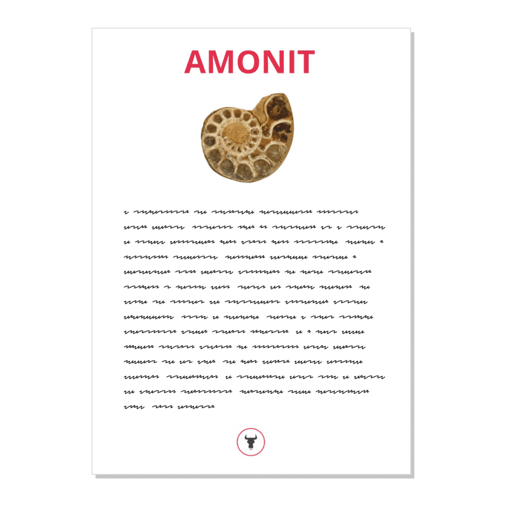 Amonit - kartička