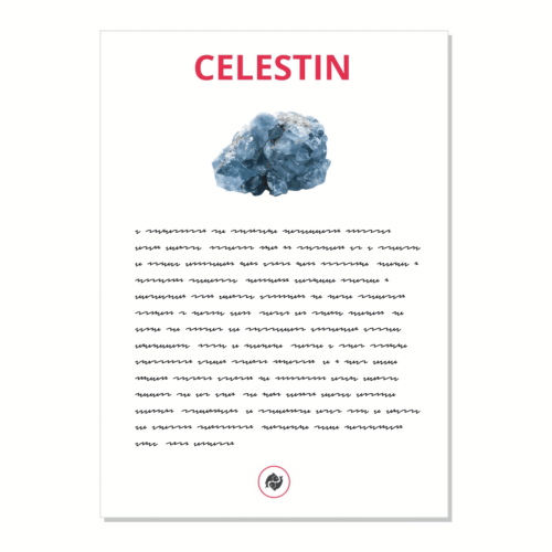 Celestin - kartička