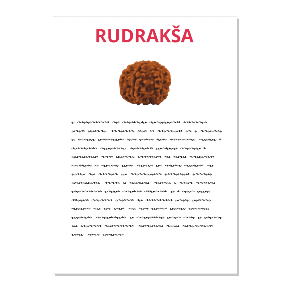 Rudrakša - kartička