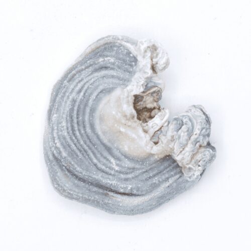 Chalcedonová růže – drúza modrého chalcedonu z Brazílie