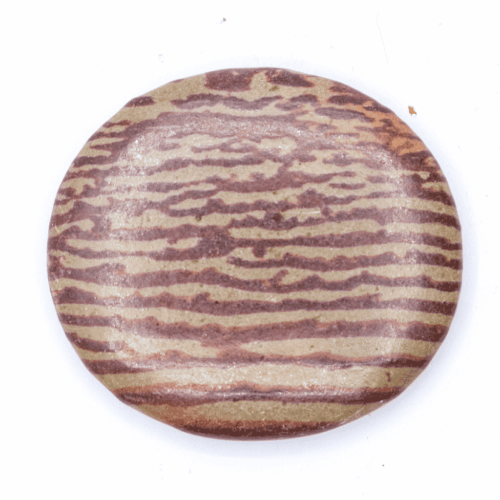Jaspis zebra - tromlovaná placička