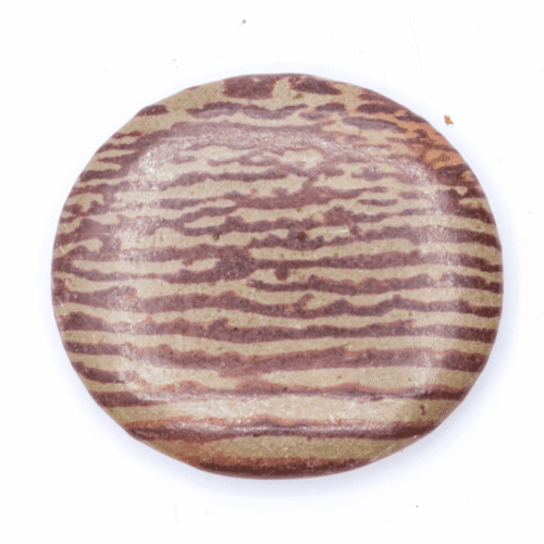 Jaspis zebra - tromlovaná placička