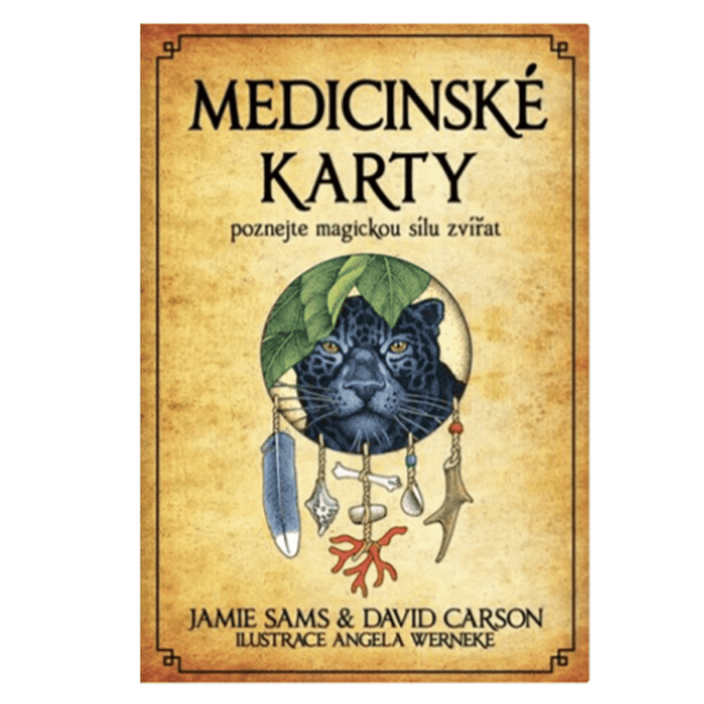 Medicinské karty: Poznejte magickou sílu zvířat - Kniha a 52 karet