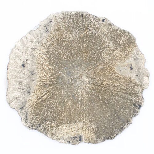Pyritové slunce – broušený kámen PP7