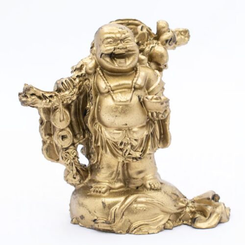 Buddha - soška Feng Shui VADA VAD268