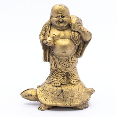 Buddha na želvě - soška Feng Shui VADA VAD342
