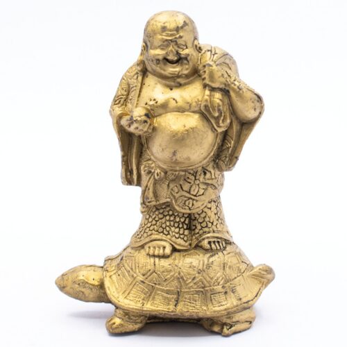 Buddha na želvě - soška Feng Shui VADA VAD343