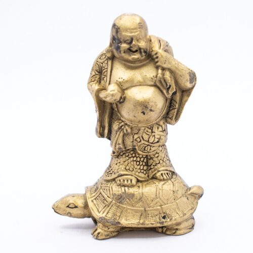 Buddha na želvě - soška Feng Shui VADA VAD344