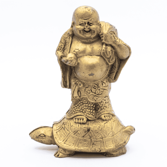 Buddha na želvě - soška Feng Shui VADA VAD342