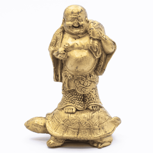 Buddha na želvě - soška Feng Shui VADA VAD343