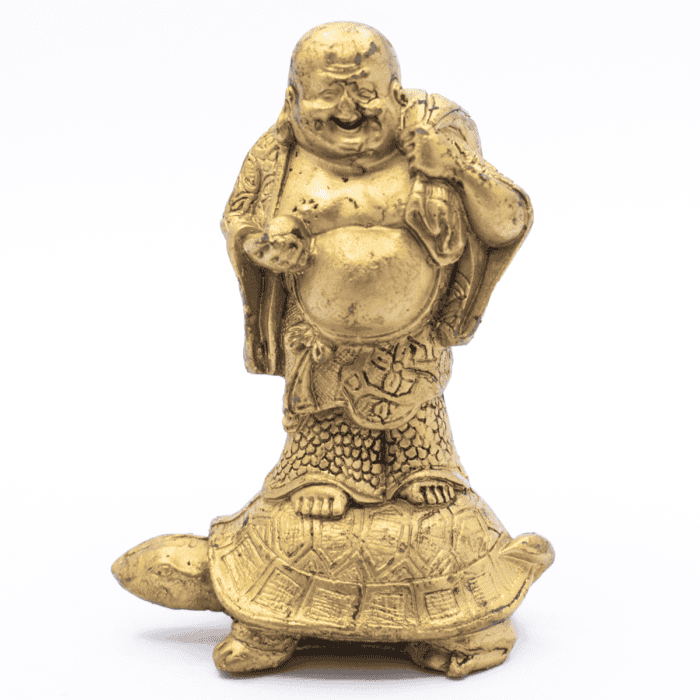 Buddha na želvě - soška Feng Shui VADA VAD343