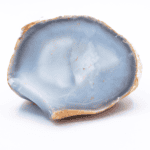 Chalcedon
