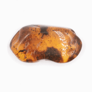 Jantar - Kopál - hlazená pryskyřice JK98