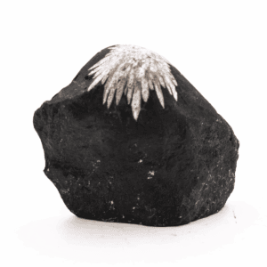 Chryzantémový kámen - surový kámen CHK39