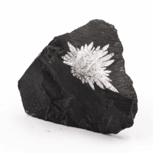 Chryzantémový kámen - surový kámen CHK41