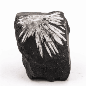 Chryzantémový kámen - surový kámen CHK42