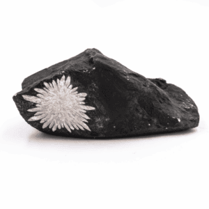 Chryzantémový kámen - surový kámen CHK43