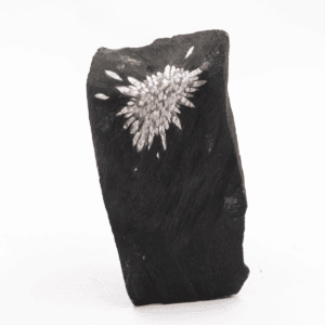 Chryzantémový kámen - surový kámen CHK47