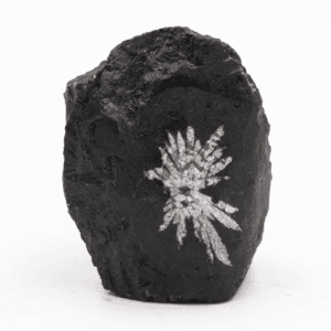 Chryzantémový kámen - surový kámen CHK52