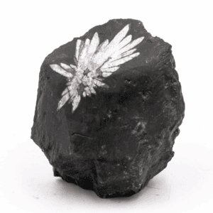 Chryzantémový kámen - surový kámen CHK53