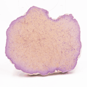 Fosfosiderit - leštěný řez FOS12