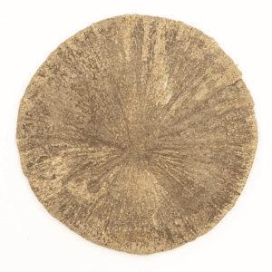 Pyritové slunce - broušený kámen PS26