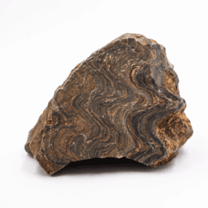 Stromatolit - surový kámen ST14