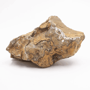 Stromatolit - surový kámen ST16