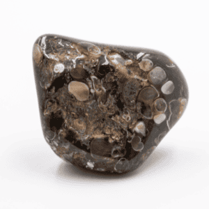 Achát mušlový (turitella) - tromlovaný kámen B kvalita