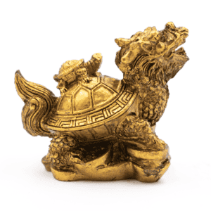 Dračí želva - soška Feng shui DRZ1