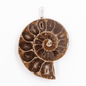Amonit - zkamenělina - stříbrný přívěsek AMO1