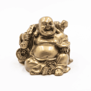 Buddha bohatství - soška Feng shui - VADA VAD754