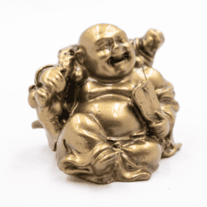 Buddha bohatství - soška Feng shui - VADA VAD758