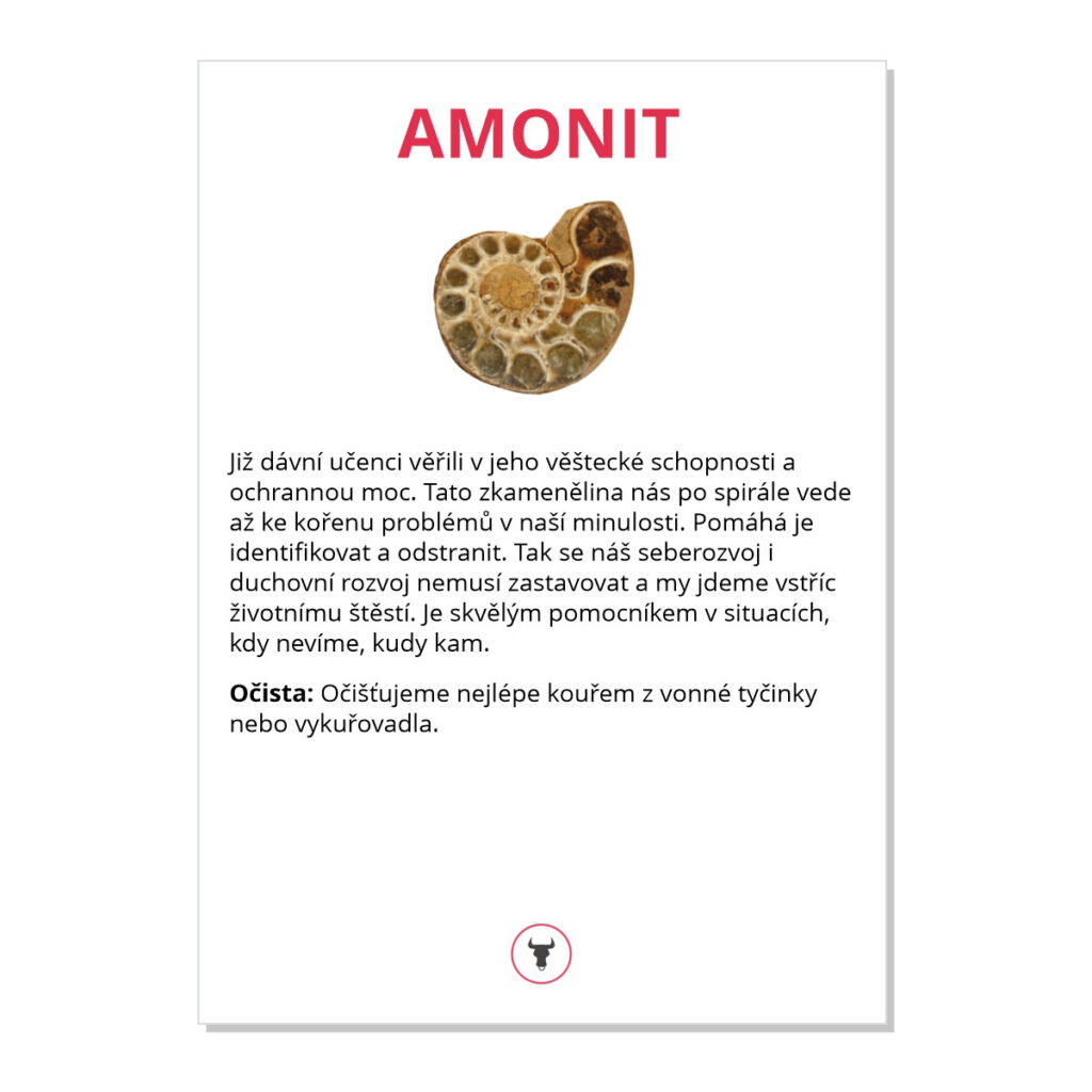 Amonit - kartička