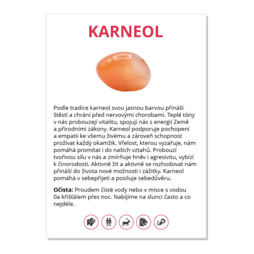 Karneol - kartička