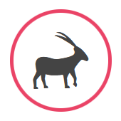 Kozoroh