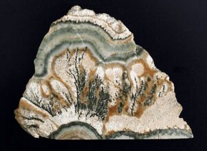 Dendrit (vrstvený jílovec)